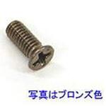DFS05010A 取付ねじ  DFS05010A TOEX(LIXIL)