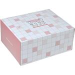 SA-170 抗菌 ストッキング水切り袋 浅型 100枚入 BOX ストリックスデザイン