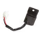 FRE014 Rele Specific For Honda， Kawasaki， Yamaha Fixed Intermittence - 12v - 120w - 10a LIGHTECH (ライテック)