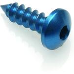 SELF TAPPING SCREW 002 D=5，5X16 ERGAL LIGHTECH (ライテック)