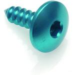 SELF TAPPING SCREW 003 D=4，5X13 ERGAL LIGHTECH (ライテック)