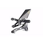 FTRAP004W アジャスタブルリアセット ，ノーマルシフティング ，WITH FOLD UP フットペグ APRILIA RSV4 R/FACTORY/APRC (09-14)，TUONO V4 (11-14) LIGHTECH (ライテック)