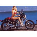 Y/CP05/BC フルシステム Legend クロム Yamaha XV 535 VIRAGO Marving Exhaust (マービングエキゾースト)
