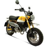 H16509400IIC フルシステムコレクター+サイレンサー ステンレス ステンレススリーブ Termignoni (テルミニョーニ)