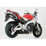 850175 マフラー Track 1000 スリップオンエキゾースト (4-2) ハイアップ SUZUKI GSR 600 (WVB9-2006) Shark (シャーク)