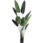 WD-07 人工観葉植物 ストレリチア リレヤ