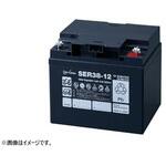 YCX2RSER3812 ユアサバッテリーSER38-12 ゼノア