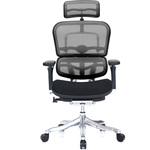 エルゴヒューマン プロ リクライニングチェア　モールド エルゴヒューマンプロ(座面モールドクッション) ハイタイプ エルゴ