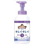 キレイキレイ薬用泡ハンドソープ フローラルソープ/本/550ml ライオンハイジーン