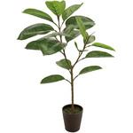 FG005436 デコラゴムミニポット MAGIQ(東京堂)