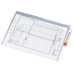 80800-100 カルテフォルダー (シングル) 金鵄製作所