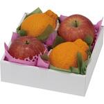 いろどりパレット ヤマニパッケージ