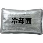 アイスベスト専用アイスパック アイトス