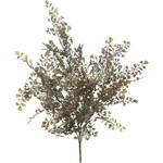 アジアンタムブッシュ 横浜ディスプレイミュージアム