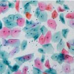 51362C サイトキャッチスライド 20F 100枚入 武藤化学