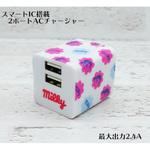 FJ-AC1RD 2ポート ACアダプタ 音光