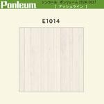 【オーダー】ポンリューム2024-2027アッシュライン  E1014 シンコール