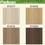 【オーダー】ポンリューム2024-2027スムースチーク  E1017・E1018・E1018・E1019・E1020 シンコール