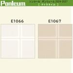 【オーダー】ポンリューム2024-2027 テトラタイル E1066・E1067 シンコール