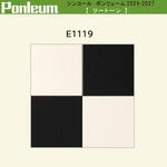 E1119 【オーダー】ポンリューム2024-2027 ツートーン E1119 シンコール