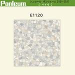 E1120 【オーダー】ポンリューム2024-2027 ペイヴ E1120 シンコール