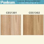 【オーダー】ポンリューム2024-2027グランアカシア CES1301・CES1302 シンコール