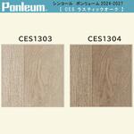 【オーダー】ポンリューム2024-2027ラスティックオーク CES1303・CES1304 シンコール