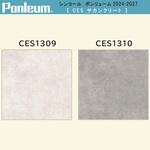 【オーダー】ポンリューム2024-2027サカンクリートCES1309・CES1310 シンコール