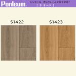 【オーダー】ポンリューム2024-2027オーク S1422・S1423 シンコール
