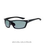 DN-4216H ポリカーボネイト変色調光偏光グラス DAIWA(ダイワ)