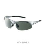 DN-4022H ポリカーボネイト変色調光偏光グラス DAIWA(ダイワ)