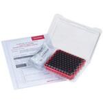 6PCK576W LC/GC認証付スクリューバイアルキット 2mL 100組 6PCKシリーズ Thermo Fisher Scientific