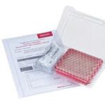 6PMSCK534W MSCERT認証付スクリューバイアルキット 2mL 100組 6PMSCKシリーズ Thermo Fisher Scientific