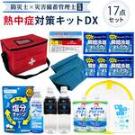 熱中症対策キット EVERSAFE