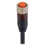 103590 RKT 12-346/5 M センサアクチュエータケーブル コア数：12 RKTシリーズ Lumberg Automation