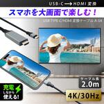 USB TYPE-C/HDMI変換ケーブル SEIWA(セイワ)