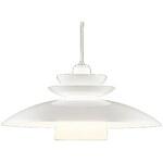 高演色LED ペンダントライト R15クラス2 ODELIC(オーデリック)