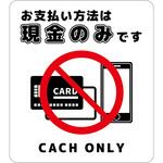 お支払現金のみサインステッカー大 グリーンクロス
