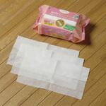 フローリース レギュラーシートEⅡ(40枚入) テラモト