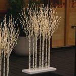 7892-5194 冬装飾 クリスマス イルミネーション バーチスツリーライト LED600球 ストア・エキスプレス