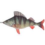 Y-0508 FISHES PERCH(フィッシーズパーチ) ダルトン