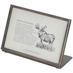 METAL FRAME(メタルフレーム) ダルトン