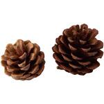 冬装飾 クリスマスデコレーション ナチュラルパーツセット ストア・エキスプレス