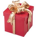 8725-2404 冬装飾 クリスマスデコレーション ボックスモチーフ レッド ストア・エキスプレス