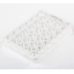 FB012929 Fisherbrand 細胞培養マルチディッシュ FBシリーズ Thermo Fisher Scientific
