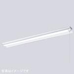 LEDioc LEDベースライト (LEDユニット一体形) 40W形 笠付形 Hf32形定格出力形相当 5200Lmタイプ 2灯用相当 (プルスイッチ付) 岩崎電気