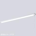 LEDioc LEDベースライト (LEDユニット一体形) 40W形 トラフ形 Hf32形定格出力形相当 2500Lmタイプ 1灯用相当 (プルスイッチ付) 岩崎電気