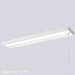 LEDioc LEDベースライト (LEDユニット一体形) 40W形 直付形 <250mm幅> Hf32形定格出力形相当 2500Lmタイプ 1灯用相当 (プルスイッチ付) 岩崎電気
