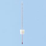 F35-1149-01 温度計 A-1 (桐山) ナリカ