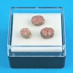 標本用鉱物 ナリカ